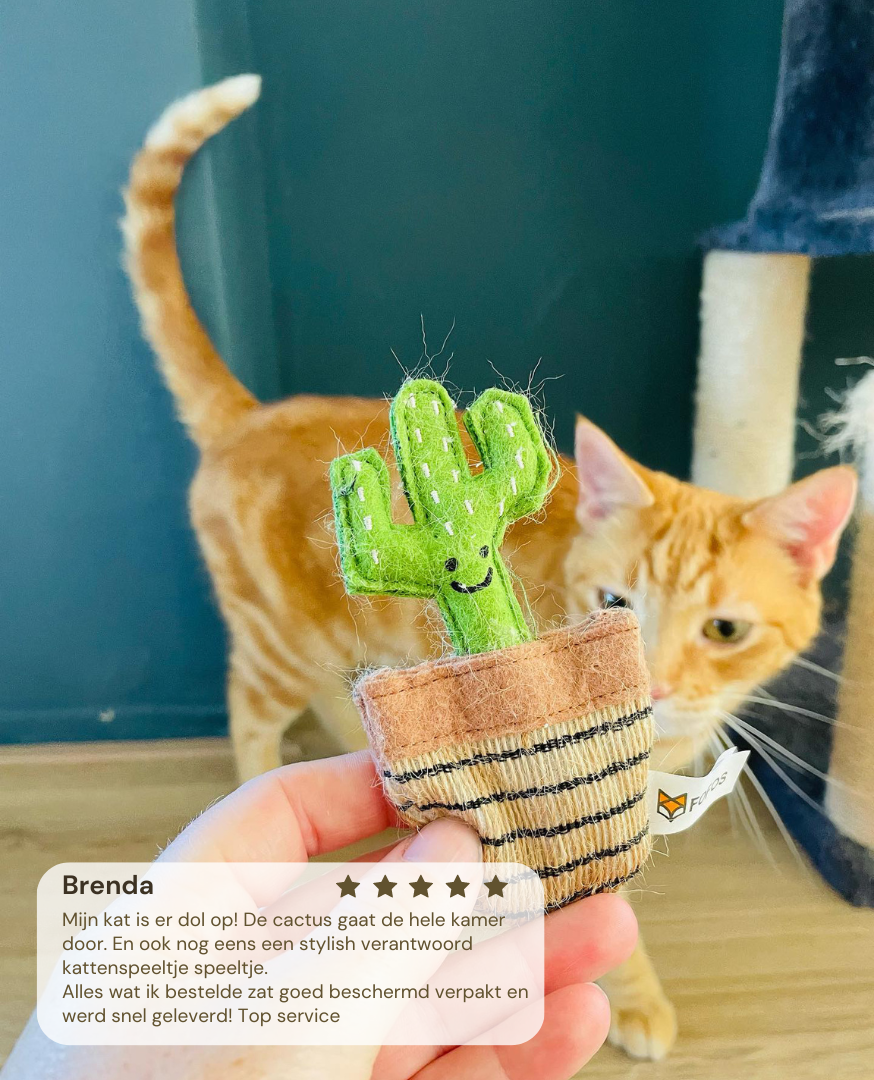 Fofos Cactus Mexico Kattenspeeltje