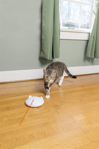 Petsafe Zip Laser Kattenspeelgoed